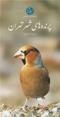 پرنده هاي شهر تهران