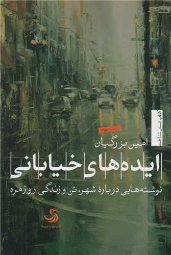 ايده هاي خياباني:نوشته هايي درباره شهر تن و زندگي روزمره
